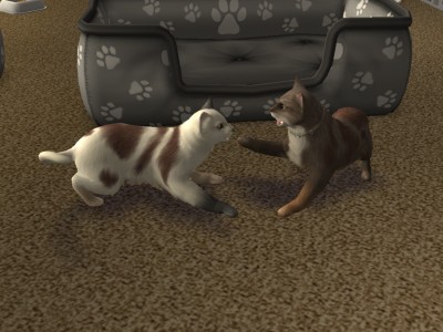 images/histoires/lega/generation_3/chapitre_10/Cecilia_et-b732c7.jpg images/histoires/lega/generation_3/chapitre_10/Cecilia_et-b732c7.jpg