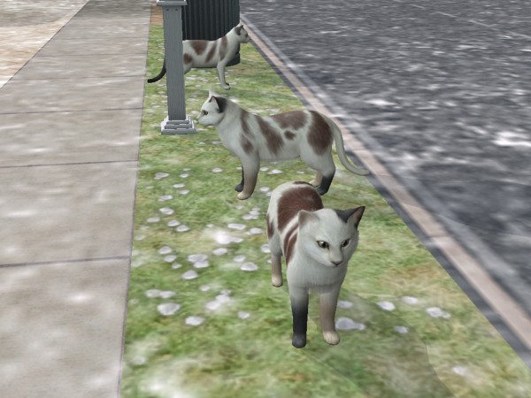 images/histoires/lega/generation_3/chapitre_33/Pas_la_pei-866b9e.jpg images/histoires/lega/generation_3/chapitre_33/Pas_la_pei-866b9e.jpg