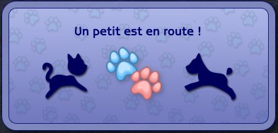 images/histoires/lega/generation_3/chapitre_38/Alors_voyo-6b80db.jpg images/histoires/lega/generation_3/chapitre_38/Alors_voyo-6b80db.jpg