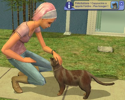 images/histoires/lega/generation_3/chapitre_4/Ou_lon_na_-9e2632.jpg images/histoires/lega/generation_3/chapitre_4/Ou_lon_na_-9e2632.jpg