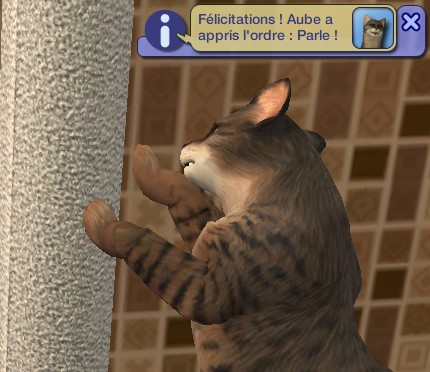 images/histoires/lega/generation_5/chapitre_3/Des_journe-d9130c.jpg images/histoires/lega/generation_5/chapitre_3/Des_journe-d9130c.jpg