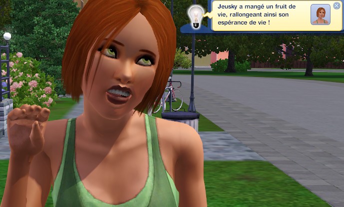 images/histoires/lzemol/generation_1/chapitre_24/Fruits_de_-b33ce3.jpg